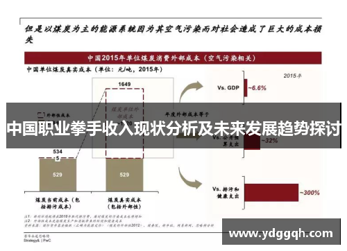 中国职业拳手收入现状分析及未来发展趋势探讨